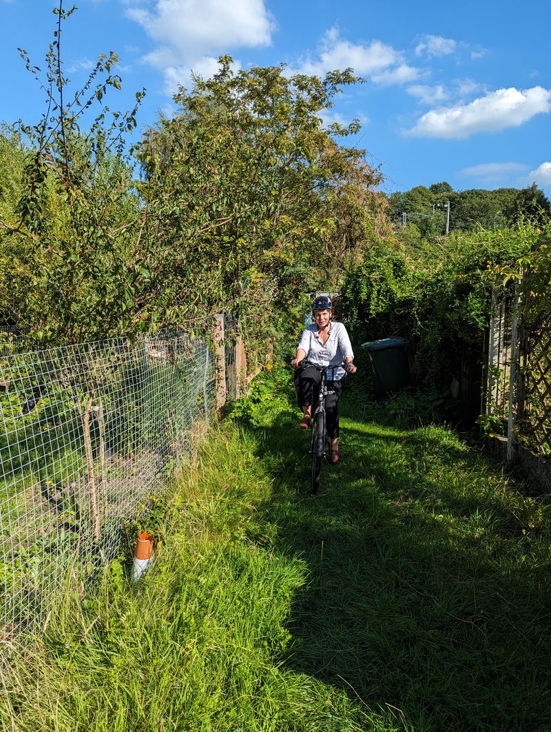 A cyclist riding along the green back lane behind Cromwell Road