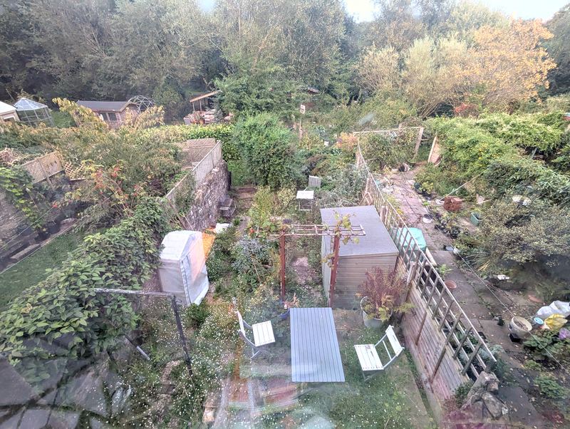 Rear garden seen from an upstairs window, with neighbouring gardens and trees beyond