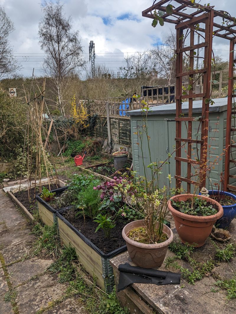 Raised planting beds, garden shed and open green outlook beyond the fence