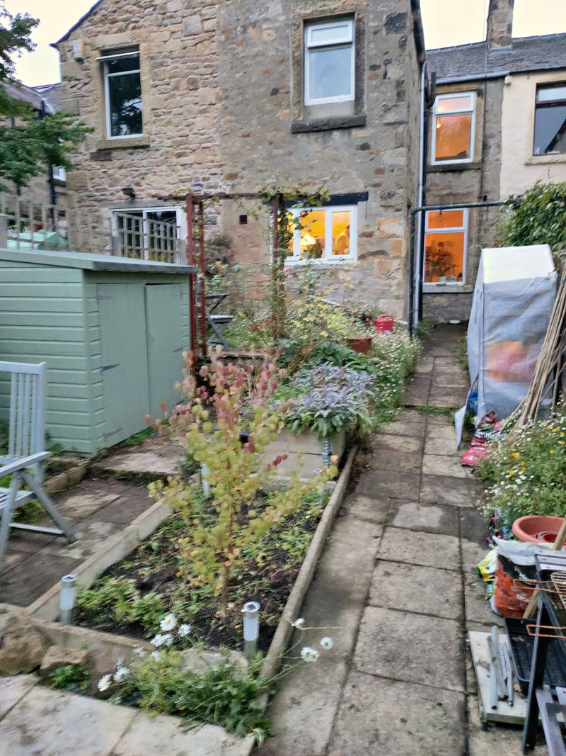 Rear garden with raised beds, a paved path and a painted shed, looking back towards the stone rear of the house